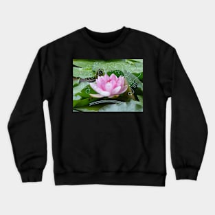 Pink water lily Crewneck Sweatshirt